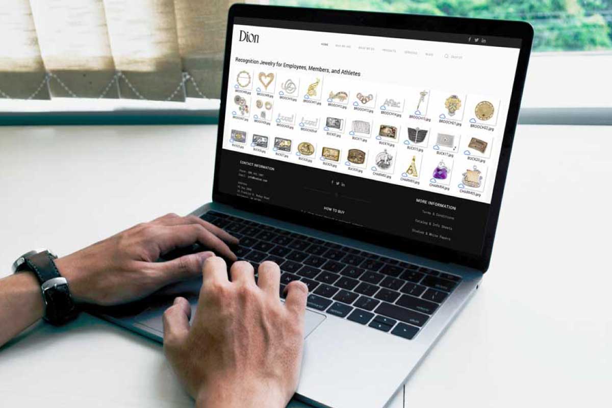 Man looking at EA Dion Site on Computer