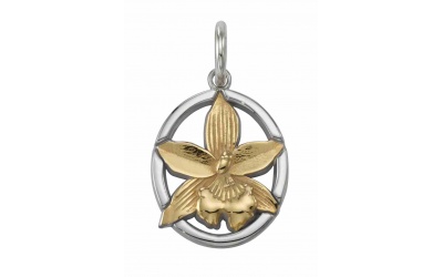 charm60
